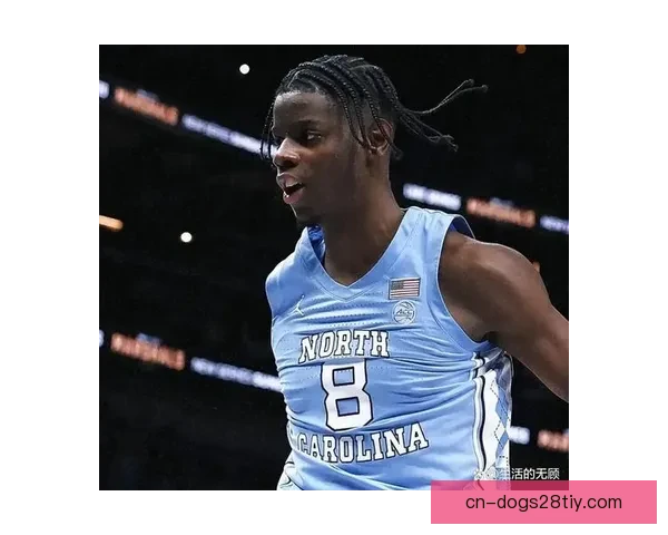 北卡威尔逊参选能否值首轮身价